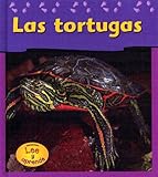 Image de Las Tortugas / Turtles