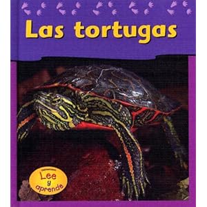 Las Tortugas / Turtles