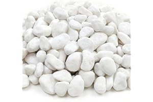 TODOSTONES Piedra Canto rodado 10-20 mm Blanco Puro 5-10-20 Kg para decoracion exterior e interior, jardines, macetas, suelos. (Blanco puro, 10 kg)