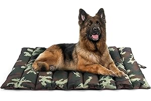 XIAPIA Cuccia Cane per Interno e Esterno, Cuscino Cane Grande, Cuscino Impermeabile per Cani, Letto Brandina per Cani in Resistente, Pieghevole