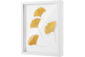 ZHYLUO Bilderrahmen zum befüllen, 3D Bilderrahmen Zum Befüllen 25 x 20 cm, Holz Bilderrahmen Zum Befüllen für Gegenstände, Blumen, Hochzeitsgeschenke oder Souvenirs (weiß)