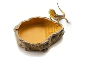 MUYYIKA Ciotola per acqua e mangime, accessori per tartarughe, serpenti e gechi, terrario