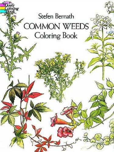 Common Weeds Coloring Book (Dover Nature Coloring Book)