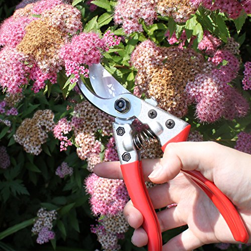 Professional Baumschere – Gartenschere mit lagerung halter tasche durch Belle Vous – Bypass Pruner Schere zum Schneiden von Hecken und Gras Schneiden – Garten Clippers, Baum Trimmer, Schneiden Astschere - 5