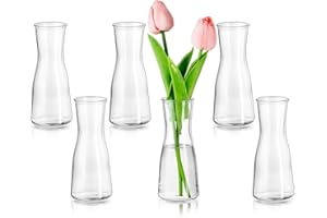 Glasseam Kleine Vasen für Tischdeko, Deko Vase Glas Klar Blumenvase Modern Glasvase Klein 6 Stück, Minimalistische Blumenvasen Set für Wohnzimmer Hochzeit Party Esstisch Tafelaufsatz Dekovase