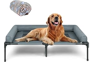 MFOX Cooling Elevated Dog Bed with Bolsters, Raised Outdoor Dog Bed for Medium Dogs | No-Slip Rubber Feet | Washable & Breathable Mesh | Most Suitabie for Sleeping - Grey