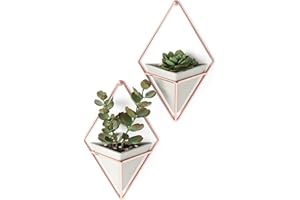 Umbra Trigg Hanging Planter Vase & Geometric Wall Decor Concrete Container - Great For Succulent Plants, Air Plant, Mini Cactus, Faux Plants and More, Set of 2, Small, Concrete/Copper