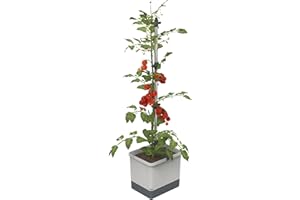 GUSTA GARDEN Tom Tomato - Pot de tomates - Sistema de riego con depósito de agua de 4,5 L - Soporte para plantas trepadoras - Gancho de fijación - Volumen de tierra de 20 L - Plantas trepadoras - Gris claro