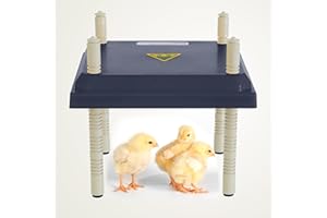 Umelee Chick Brooder Heat Plate 10"×10", Brooder Heater for 15 Chicks with Adjustable Height & Angle, Chicken Coop Heater 15W for Chick Duckling Gosling Quail Hamster (Black)