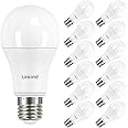 Lampadine LED E27 12W 5 Pz Equivalenti A 100W 1020 Lumen Luce Bianca 6400k Pacco Da 5 Unit  8433325177867