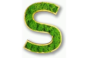 Acryltypo Moosly® Holzbuchstabe – S - mit Rahmen aus Holz, Moos Deko Buchstaben Zeichen Symbol Zahl - Holzbuchstabe mit echtem Islandmoos - Wandbilder Wohnzimmer Deko Wand Bilder Wohnzimmer Bilder