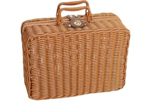 TOMOTATO Scatola da Picnic Intrecciata, Cestino da Picnic in Plastica in Rattan con Manici e Serratura in Metallo per Campeggio All'aperto, Accessorio per Foto(L-Marrone)