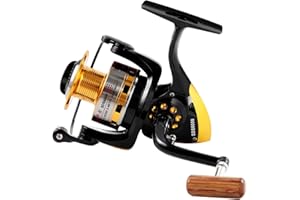 Diwa Spinning Fishing Reels for Saltwater Freshwater 1000 2000 3000 4000 5000 6000 Series Left/Right Interchangeable Trout Spinning Reel Carp Fishing Spool 10 Ball Bearings Light and Smooth