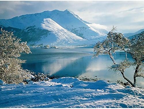 WULAU 5D DIY Full Drill Diamond Painting,Rhinestone Pasted DIY Painting Cross Stitch Snowscape,Home Room Decoration Best Gift,Size 30 * 40cm