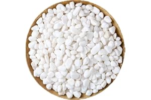 PIQIUQIU 1kg Weiße Zierkiesel 6-9mm – Natursteine für Garten, Vasen & Grabdeko (Dekosteine, Pflanztopf-Füllung)