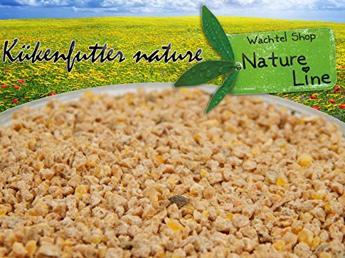 Kükenfutter nature 1 Kilo – Wachtel Kükenfutter - 2