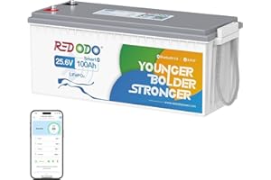 Redodo Bluetooth Batteria Litio 24V 100Ah,Batterie Lifepo4 con Protezione a Bassa Temperatura, BMS 100A, 2560Wh, Ricaricabile, Perfetta Batteria di Ricambio al Piombo per Camper, RV, Caravan