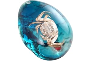 FUNRELAXER Bernstein Fossil mit Insekten Proben Steine Kristall Exemplare Insekten Exemplar Bernstein Anhänger DIY Schmuck Anhänger