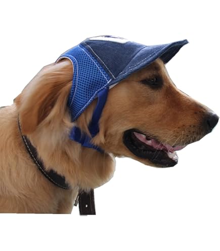 Amazon Dog Hats For Large Dogs Pawaboo Dog Parent-Child Hats