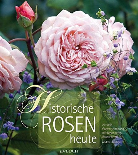 Download Historische Rosen heute: Aktuelle Gartengestaltung mit besonderen Rosensorten Download Historische Rosen heute: Aktuelle Gartengestaltung mit besonderen Rosensorten
