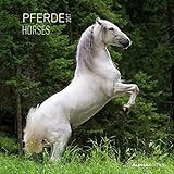 Pferde 2017 - Horses - Broschürenkalender (30 x 60 geöffnet) - Tierkalender - Wandplaner by 