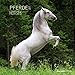 Pferde 2017 - Horses - Broschürenkalender (30 x 60 geöffnet) - Tierkalender - Wandplaner by 