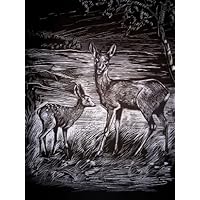 Suchergebnis Auf Amazonde Für Wildschwein 0 20 Eur