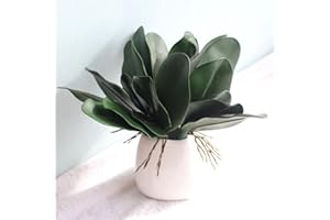 huaao 6 unidades de flores artificiales de imitación de halaenopsis verde para decoración de flores y bonsáis (26 cm/5 hojas)