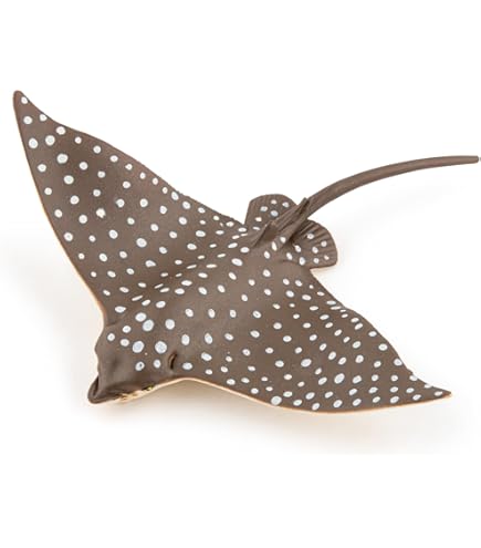 Safari - 2673_29 - Raie Tachetee Bleue