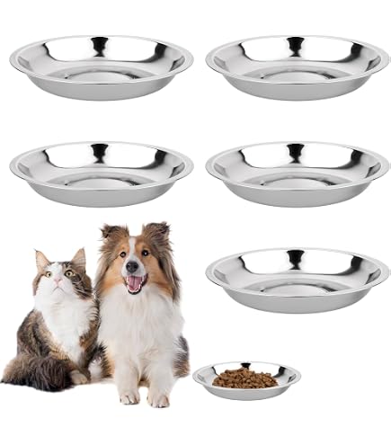 2 Gamelles Chat En Acier Inoxydable 304 - Bols Plats 14 Cm Anti-Chute - Pour Chat Et Petit Chien - Faciles à Nettoyer