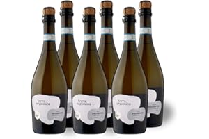 Terra Organica Prosecco D.O.C. 10.5% ABV, 6 x 75cl - Italian Light and Extra Dry Sparkling Organic Prosecco - Award Winning Prosecco - Produced by Family Run Winery - Great Prosecco Gift Set