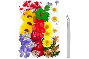 WJIAEER 36PCS flores secas flores prensadas, flores secas naturales, flores secas manualidades DIY flores secas para resina flores secas pequeñas
