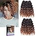 Price comparison product image Emmet Short Curly Hair Extension 8Inch Easy Installing & Sewing Ombre Colors Brazilian Human Hair Afro Kinky Weave- Can be Dyed and Permed- 2 Bundles/lot, 50g/Bundle (1B#/30#)