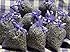 10 x Lavendels&auml;ckchen mit echtem franz&ouml;sischen Lavendel - Insgesamt 100g Lavendelbl&uuml;ten als Dufts&auml;ckchen