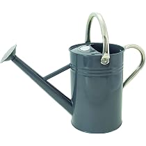 Kent & Stowe Arrosoir vintage crème de 4,5 litres - Verseuse en acier galvanisé pour l'arrosage quotidien - Pichet de style anglais classique avec 2 poignées Kent & Stowe Arrosoir vintage crème de 4,5 litres - Verseuse en acier galvanisé pour l'arrosage quotidien - Pichet de style anglais classique avec 2 poignées