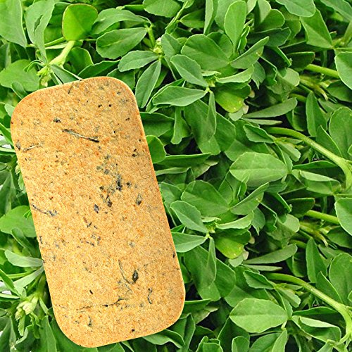 Methi Mobile Khakhra Pack Of 2 ECH.150GM RS.120 (20.00% Off) - Amazon Methi Mobile Khakhra Pack Of 2 ECH.150GM RS.120 (20.00% Off) - Amazon