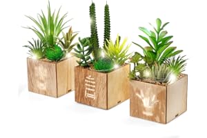 ‎BEGONDIS BEGONDIS Set von 3 künstlichen Sukkulenten mit Led-Leuchten in Holzkiste, künstliche Pflanzen Plastik -Topiary für Wohn-/Bürodekorationen, Tischdekoration, Valentinstag.