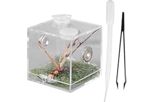 VILLCASE Acryl Reptile Fütterungsbox, Springspinne Terrarium, Transparentes Spinnen Terrarium Mit Pipette & Zange, Platzsparende Insekten Transportbox für Sprungspinnen Und Kleine Haustiere