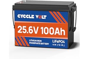CYCCLEVOLT 24V 100Ah Batería de Litio, LiFePO4 Batería de Ciclo Profundo 9000+ Ciclos con BMS, Capacidad Máxima 2560W, Autocaravanas, Motores de Arrastre, Almacenamiento de energía Fuera de la Red