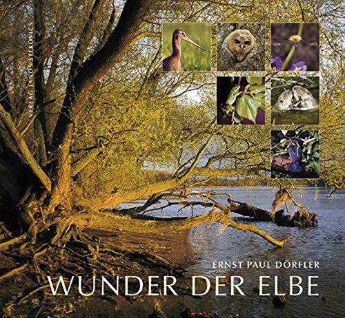 Preisvergleich Produktbild Wunder der Elbe - Biografie eines Flusses