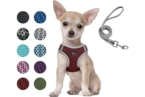 Dociote Szelki dla małego psa, Uprząż i smycz dla psa Ultralekkie odblaskowe Uprząż dla szczeniaka Oddychająca kamizelka dla kotów, małe średnie psy Uprząż dla psa do chodzenia czerwona XS