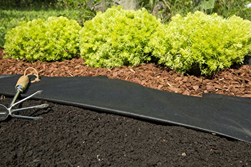 Windhager Unkraut Vlies Basic, 5 x 1,6 m - 6