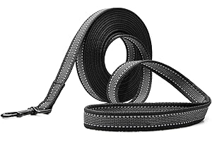 Toozey Longe pour Chien Petits et Moyens avec Caoutchoucs Antidérapants et Bandes Réfléchissantes, 5m 10m Laisse de Longue Dressage pour Chien en Nylon Douce et Résistante, 5m x 2,0cm