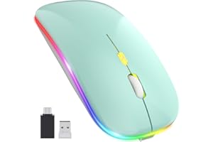 PASONOMI Aktualisierung PC Maus Kabellose, LED Wiederaufladbare Leise Funkmaus Laptop Mouse, 2.4 G USB Mäuse mit USB-Empfänger Typ C Kompatibilität mit Computer/PC/Tablet (Grün)