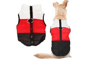 Idepet cappotto per cane e gatto con guinzaglio di ancoraggio, colore patchwork, gilet imbottito per cucciolo, chihuahua, carlin