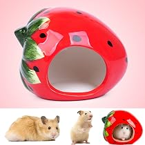 Keramik-Hamsterversteck In Käseform – 15,2 Cm, Gelb, Für Hamster & Kleintiere