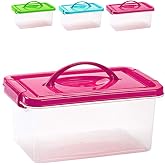 Plastic Forte &ndash; Box of 4 Litres with Lid, Assorted Colours