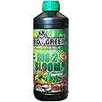 biogreen bio 2 bloom 250ml