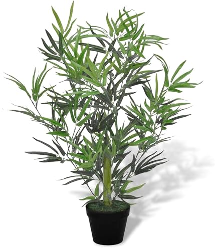 efeu hibernica Hedera Hibernica - ↕10-25cm - Ø9cm - Efeu - Bodendecker