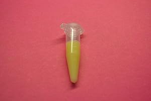 Portal Cool Orchidea Keiki pasta, 1 Grammi, Phalaenopsis, citochinina, citochinina Paste